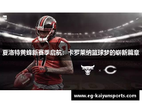 夏洛特黄蜂新赛季启航:卡罗莱纳篮球梦的崭新篇章 夏洛特黄蜂新赛季启航:卡罗莱纳篮球梦的崭新篇章