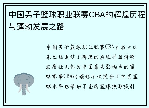 中国男子篮球职业联赛CBA的辉煌历程与蓬勃发展之路